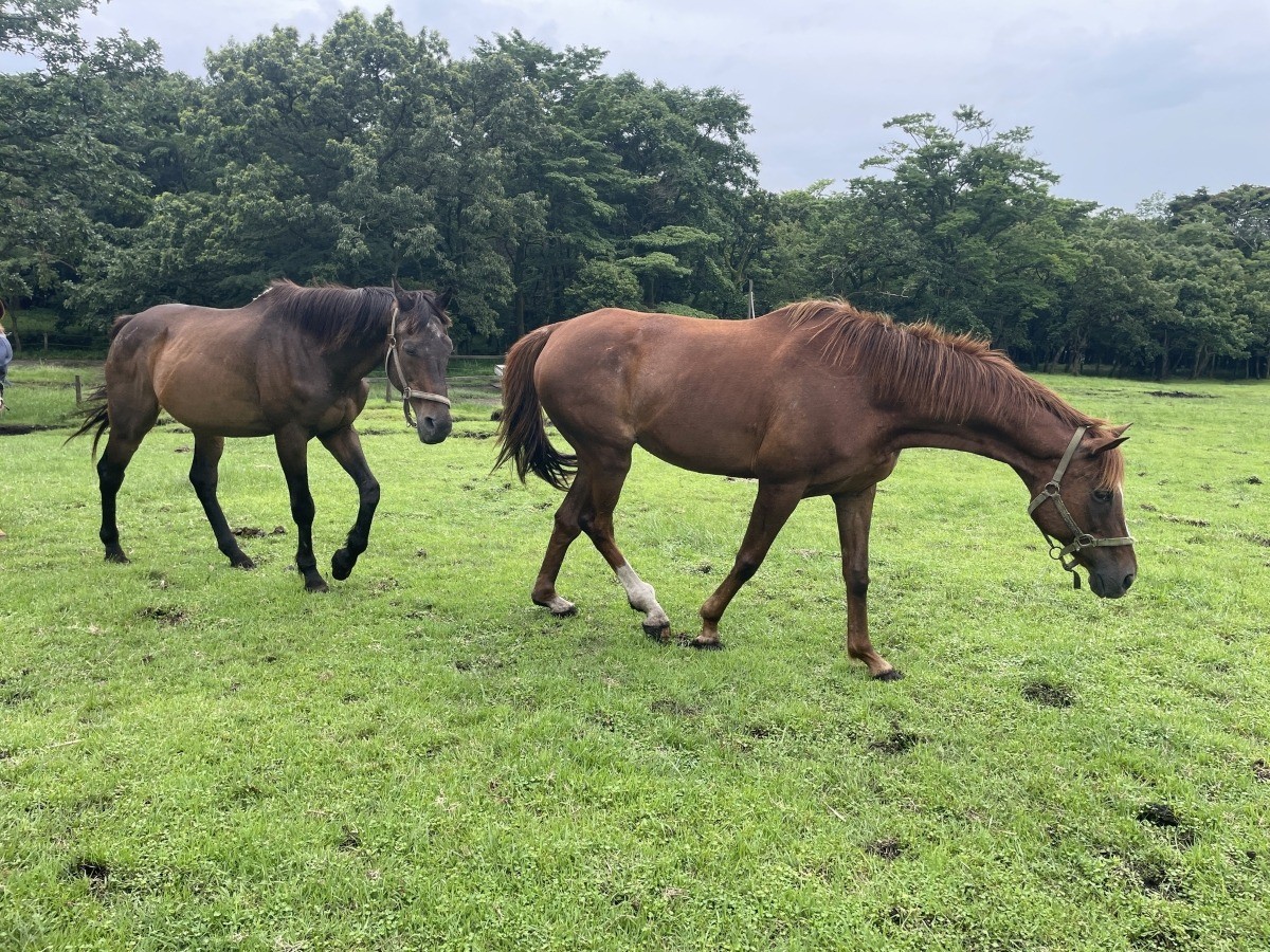 119920da7f2b8c8c225c3b949379e280-1785501348.jpg 119920da7f2b8c8c225c3b949379e280-1785501348.jpg